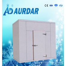 Cold Room for Frozen Food with Good Conditon